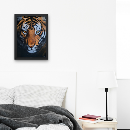 Eye of the Tiger Framed Canvas Print