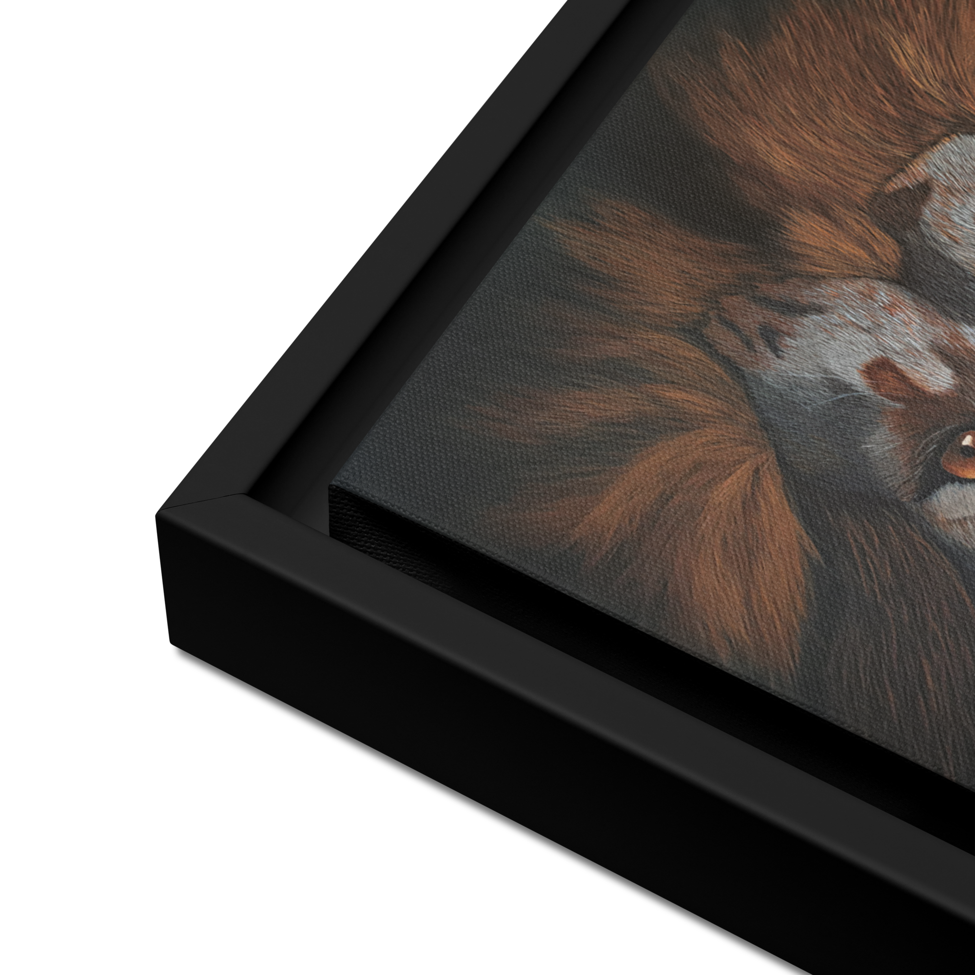 Screaming Lion Framed canvas Poster