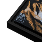 Eye of the Tiger Framed Canvas Print