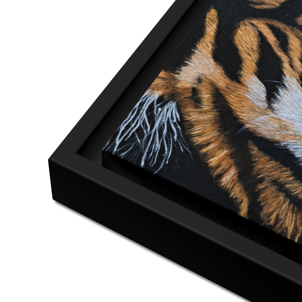 Eye of the Tiger Framed Canvas Print
