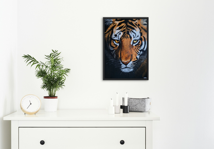 Eye of the Tiger Framed Canvas Print